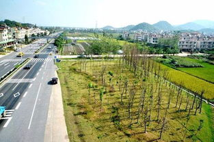 浙江公路铁路沿线颜值大比拼，你猜丽水城乡市容管理排第几？